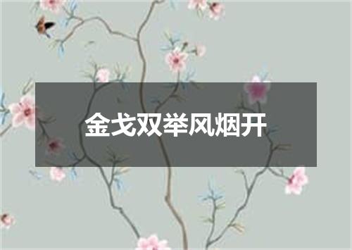 金戈双举风烟开