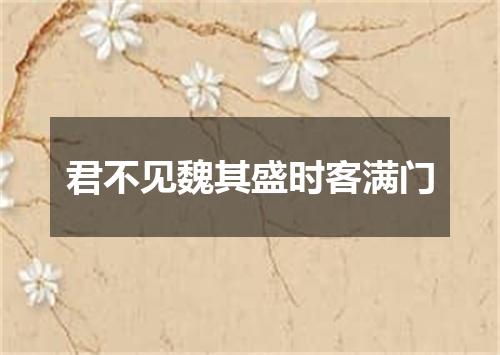 君不见魏其盛时客满门