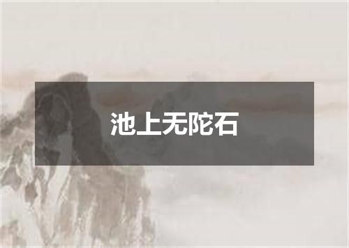 池上无陀石