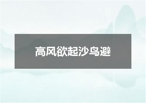 高风欲起沙鸟避