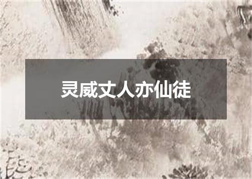 灵威丈人亦仙徒