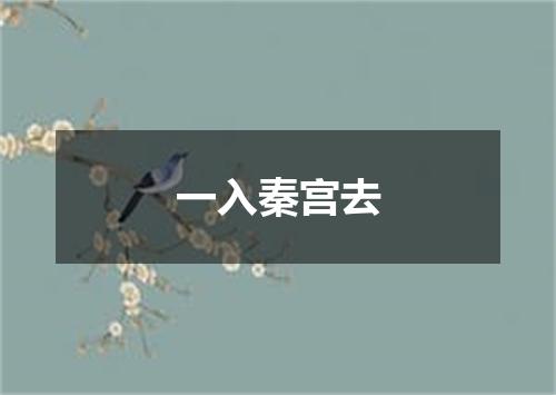 一入秦宫去