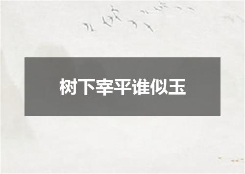 树下宰平谁似玉