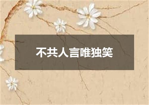 不共人言唯独笑