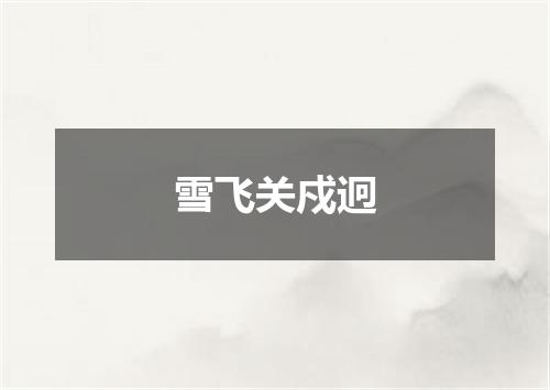 雪飞关戍迥