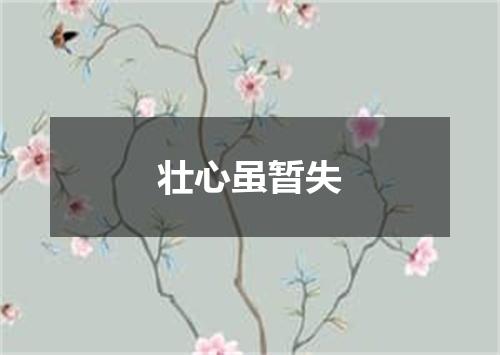 壮心虽暂失