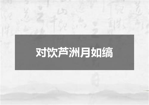 对饮芦洲月如缟