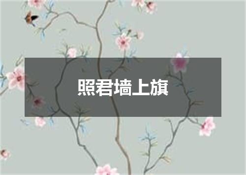 照君墙上旗