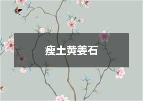 瘦土黄姜石