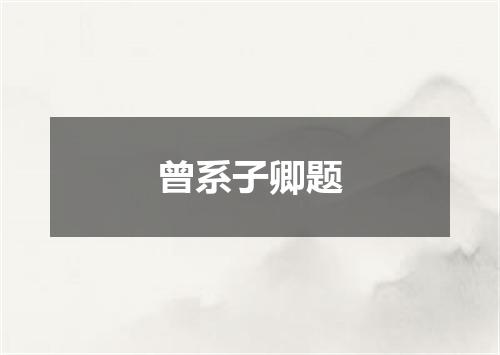 曾系子卿题