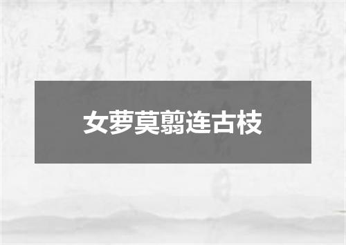 女萝莫翦连古枝
