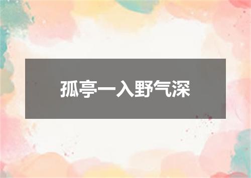 孤亭一入野气深