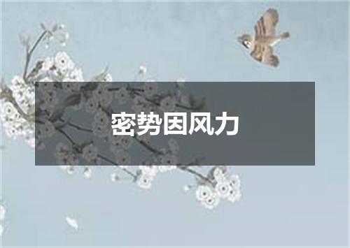 密势因风力