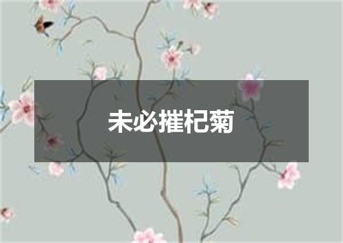 未必摧杞菊
