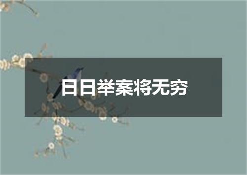 日日举案将无穷