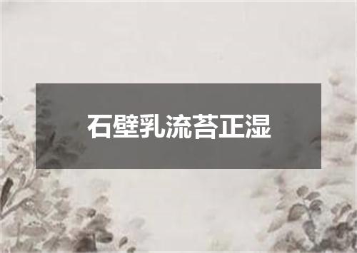 石壁乳流苔正湿