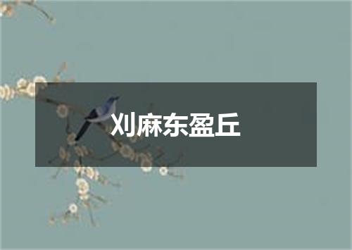 刈麻东盈丘