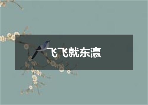 飞飞就东瀛
