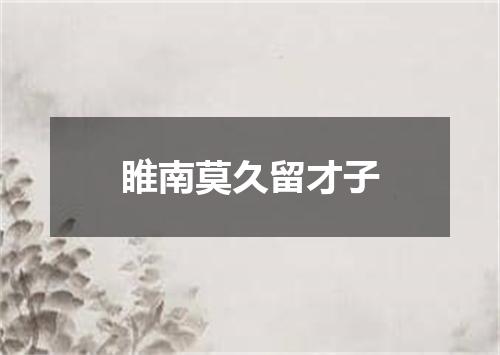 睢南莫久留才子