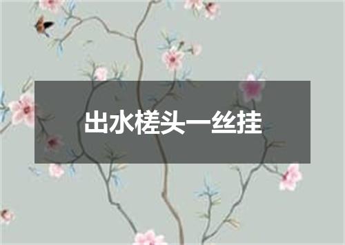 出水槎头一丝挂