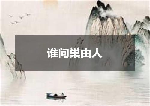 谁问巢由人