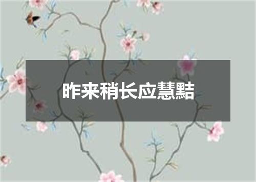 昨来稍长应慧黠