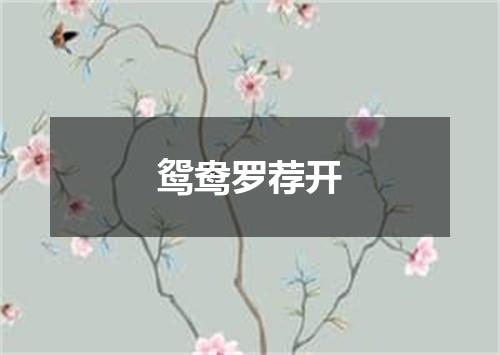 鸳鸯罗荐开