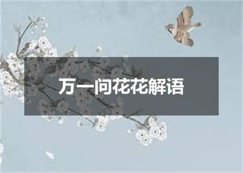 万一问花花解语