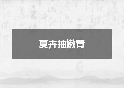 夏卉抽嫩青