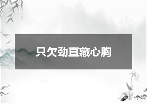 只欠劲直藏心胸