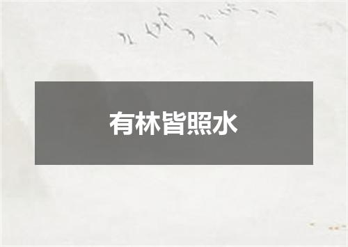 有林皆照水