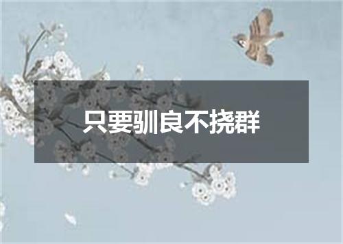 只要驯良不挠群
