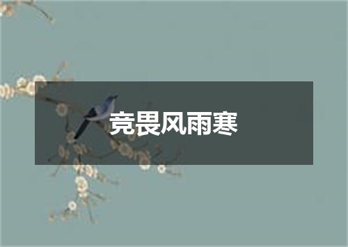 竞畏风雨寒