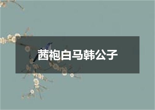 茜袍白马韩公子