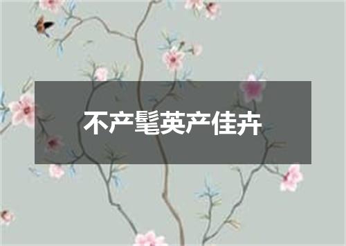 不产髦英产佳卉