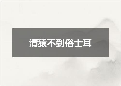 清猿不到俗士耳