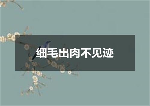 细毛出肉不见迹