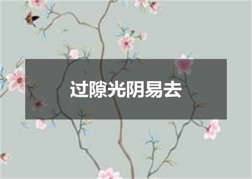 过隙光阴易去