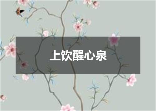 上饮醒心泉