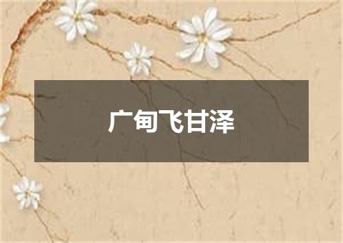 广甸飞甘泽