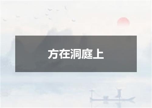 方在洞庭上