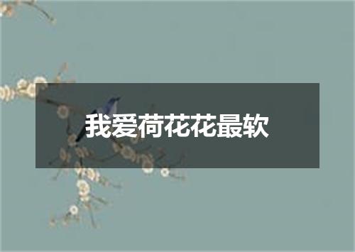 我爱荷花花最软
