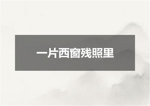 一片西窗残照里