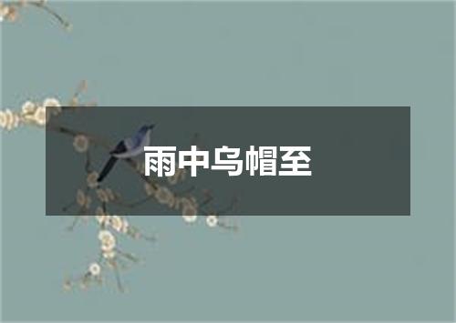 雨中乌帽至
