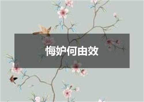 悔妒何由效