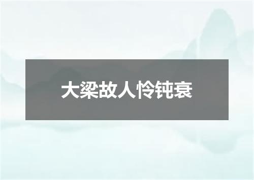 大梁故人怜钝衰