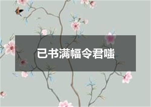 已书满幅令君嗤