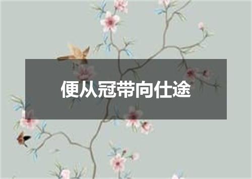 便从冠带向仕途