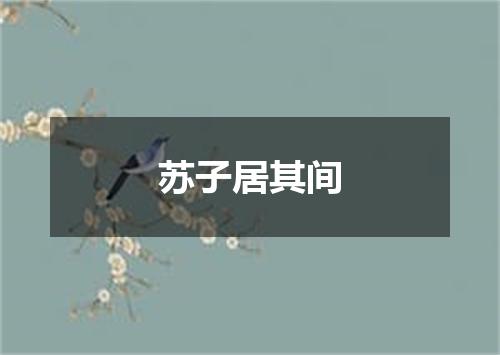 苏子居其间