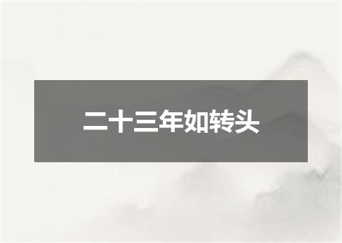 二十三年如转头